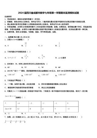2024届四川省成都市数学七年级第一学期期末监测模拟试题含解析.doc