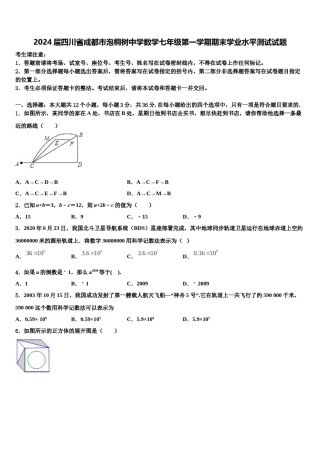 2024届四川省成都市泡桐树中学数学七年级第一学期期末学业水平测试试题含解析.doc