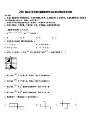 2024届四川省成都市郫都区数学七上期末质量检测试题含解析.doc