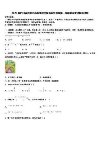 2024届四川省成都市高新实验中学七年级数学第一学期期末考试模拟试题含解析.doc