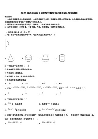 2024届四川省望子成龙学校数学七上期末复习检测试题含解析.doc