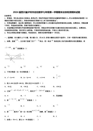 2024届四川省泸州市名校数学七年级第一学期期末达标检测模拟试题含解析.doc