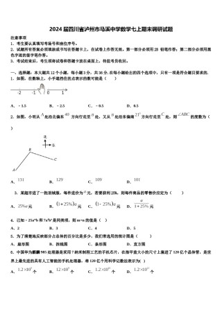 2024届四川省泸州市马溪中学数学七上期末调研试题含解析.doc