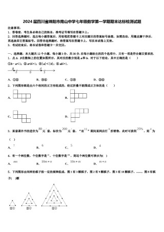 2024届四川省绵阳市南山中学七年级数学第一学期期末达标检测试题含解析.doc