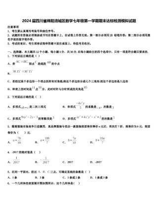 2024届四川省绵阳涪城区数学七年级第一学期期末达标检测模拟试题含解析.doc