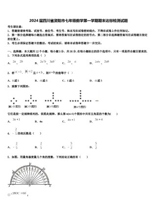 2024届四川省资阳市七年级数学第一学期期末达标检测试题含解析.doc
