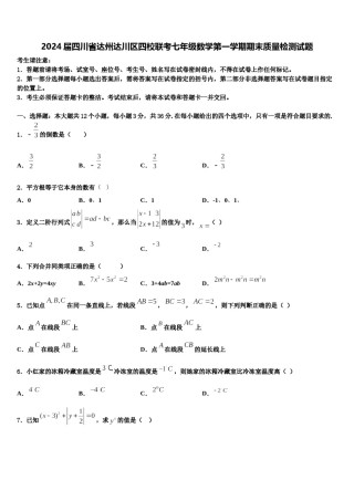 2024届四川省达州达川区四校联考七年级数学第一学期期末质量检测试题含解析.doc