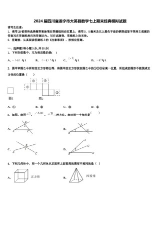 2024届四川省遂宁市大英县数学七上期末经典模拟试题含解析.doc