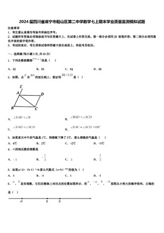 2024届四川省遂宁市船山区第二中学数学七上期末学业质量监测模拟试题含解析.doc