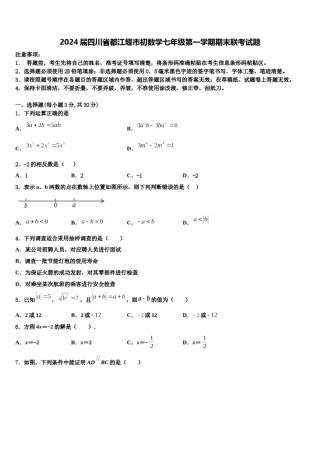 2024届四川省都江堰市初数学七年级第一学期期末联考试题含解析.doc
