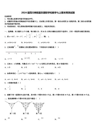 2024届四川绵阳富乐国际学校数学七上期末预测试题含解析.doc