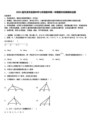 2024届天津市滨湖中学七年级数学第一学期期末经典模拟试题含解析.doc
