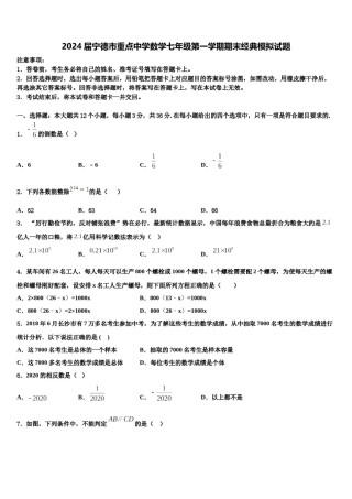 2024届宁德市重点中学数学七年级第一学期期末经典模拟试题含解析.doc