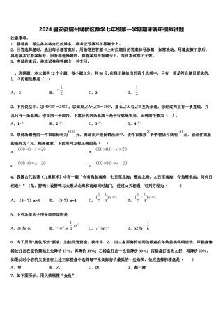 2024届安徽宿州埇桥区数学七年级第一学期期末调研模拟试题含解析.doc