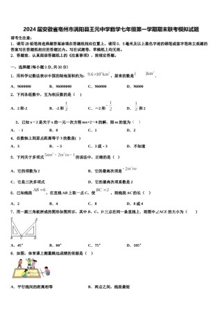 2024届安徽省亳州市涡阳县王元中学数学七年级第一学期期末联考模拟试题含解析.doc