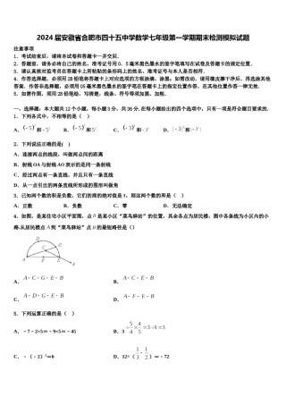 2024届安徽省合肥市四十五中学数学七年级第一学期期末检测模拟试题含解析.doc