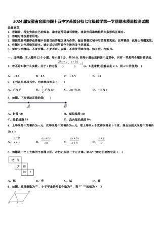 2024届安徽省合肥市四十五中学芙蓉分校七年级数学第一学期期末质量检测试题含解析.doc