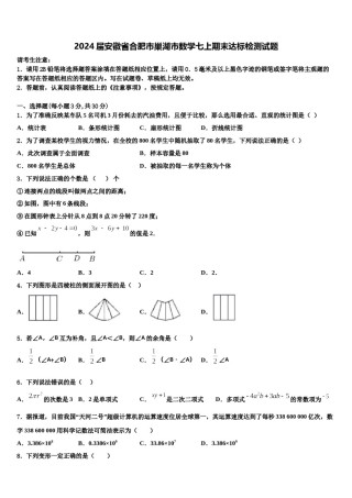 2024届安徽省合肥市巢湖市数学七上期末达标检测试题含解析.doc