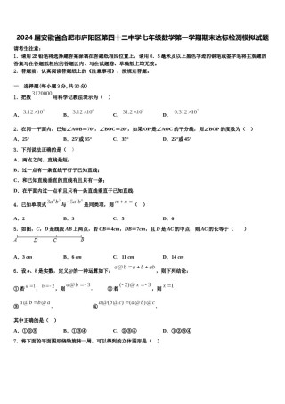 2024届安徽省合肥市庐阳区第四十二中学七年级数学第一学期期末达标检测模拟试题含解析.doc