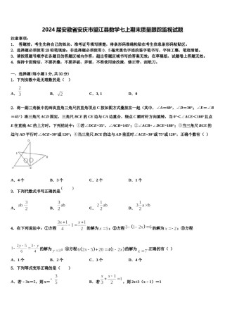 2024届安徽省安庆市望江县数学七上期末质量跟踪监视试题含解析.doc