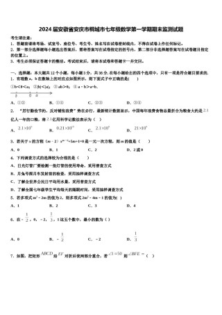 2024届安徽省安庆市桐城市七年级数学第一学期期末监测试题含解析.doc