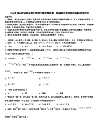2024届安徽省巢湖第四中学七年级数学第一学期期末质量跟踪监视模拟试题含解析.doc