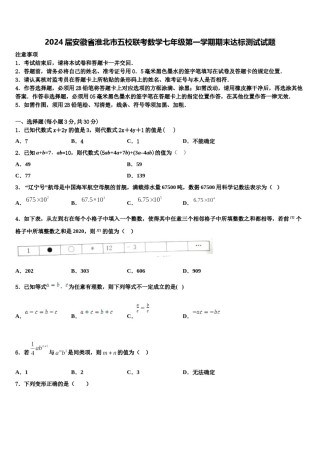 2024届安徽省淮北市五校联考数学七年级第一学期期末达标测试试题含解析.doc