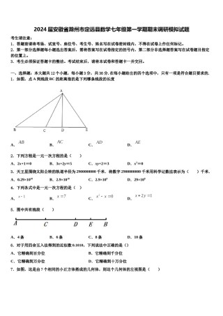 2024届安徽省滁州市定远县数学七年级第一学期期末调研模拟试题含解析.doc