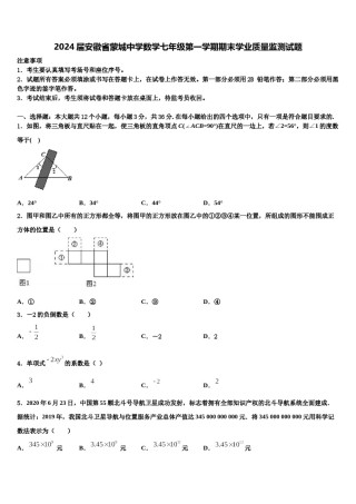 2024届安徽省蒙城中学数学七年级第一学期期末学业质量监测试题含解析.doc