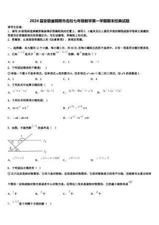 2024届安徽省铜陵市名校七年级数学第一学期期末经典试题含解析.doc