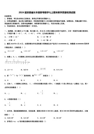 2024届安徽省长丰县联考数学七上期末教学质量检测试题含解析.doc
