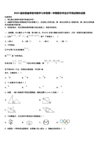 2024届安徽省阜阳市数学七年级第一学期期末学业水平测试模拟试题含解析.doc