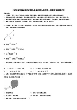 2024届安徽省阜阳市第九中学数学七年级第一学期期末调研试题含解析.doc