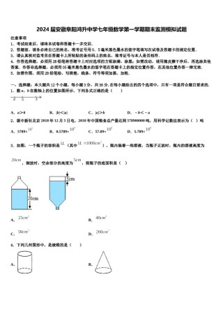2024届安徽阜阳鸿升中学七年级数学第一学期期末监测模拟试题含解析.doc