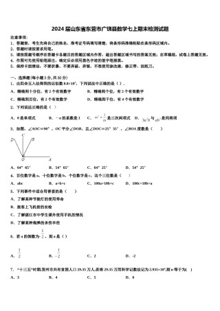 2024届山东省东营市广饶县数学七上期末检测试题含解析.doc