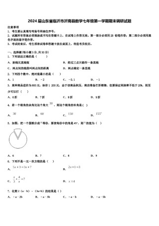 2024届山东省临沂市沂南县数学七年级第一学期期末调研试题含解析.doc