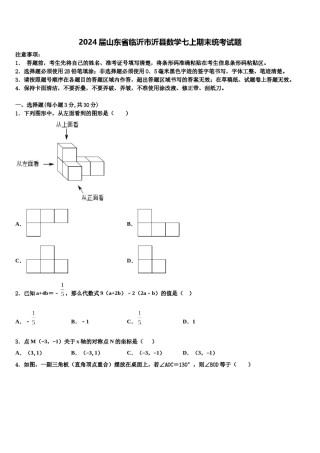 2024届山东省临沂市沂县数学七上期末统考试题含解析.doc