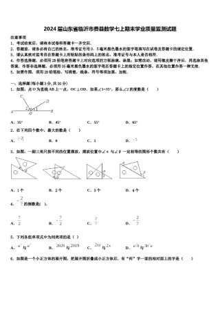 2024届山东省临沂市费县数学七上期末学业质量监测试题含解析.doc