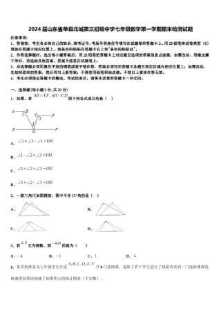 2024届山东省单县北城第三初级中学七年级数学第一学期期末检测试题含解析.doc