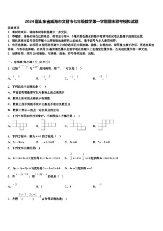 2024届山东省威海市文登市七年级数学第一学期期末联考模拟试题含解析.doc