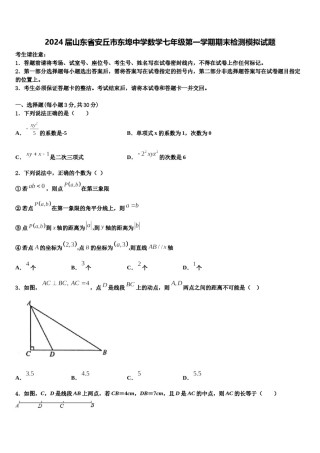 2024届山东省安丘市东埠中学数学七年级第一学期期末检测模拟试题含解析.doc