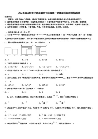 2024届山东省平邑县数学七年级第一学期期末监测模拟试题含解析.doc