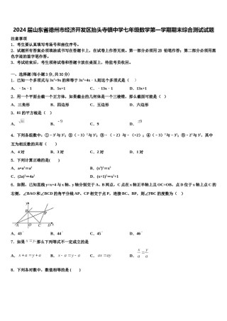 2024届山东省德州市经济开发区抬头寺镇中学七年级数学第一学期期末综合测试试题含解析.doc