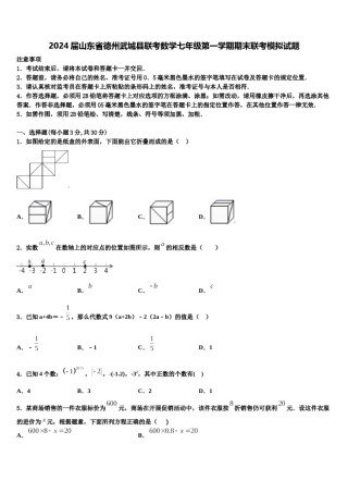 2024届山东省德州武城县联考数学七年级第一学期期末联考模拟试题含解析.doc