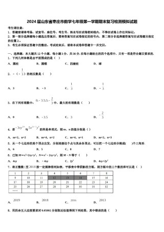 2024届山东省枣庄市数学七年级第一学期期末复习检测模拟试题含解析.doc
