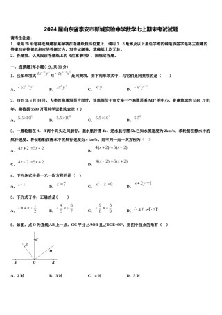 2024届山东省泰安市新城实验中学数学七上期末考试试题含解析.doc