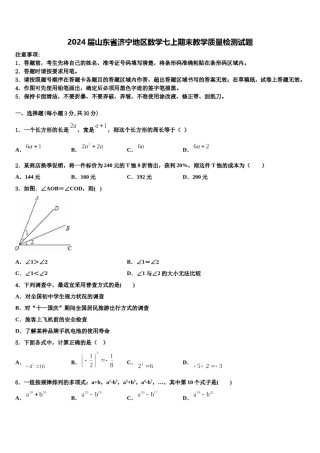 2024届山东省济宁地区数学七上期末教学质量检测试题含解析.doc