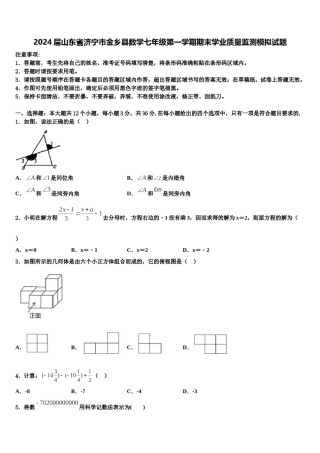 2024届山东省济宁市金乡县数学七年级第一学期期末学业质量监测模拟试题含解析.doc