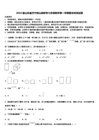 2024届山东省济宁微山县联考七年级数学第一学期期末检测试题含解析.doc