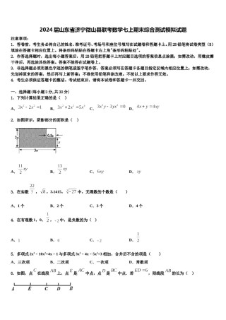 2024届山东省济宁微山县联考数学七上期末综合测试模拟试题含解析.doc